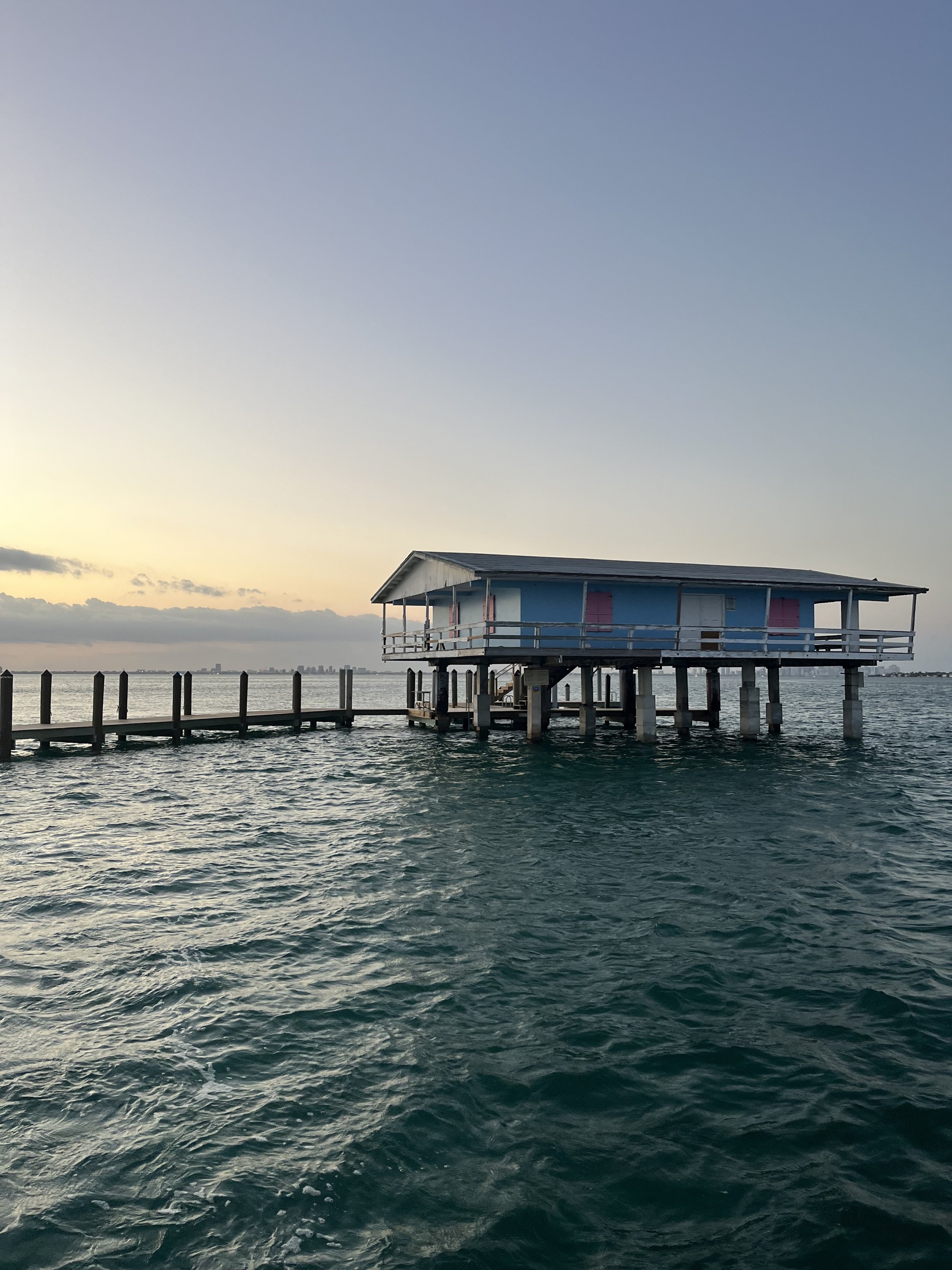 Seabird_Cruise_04.11.2025..jpg