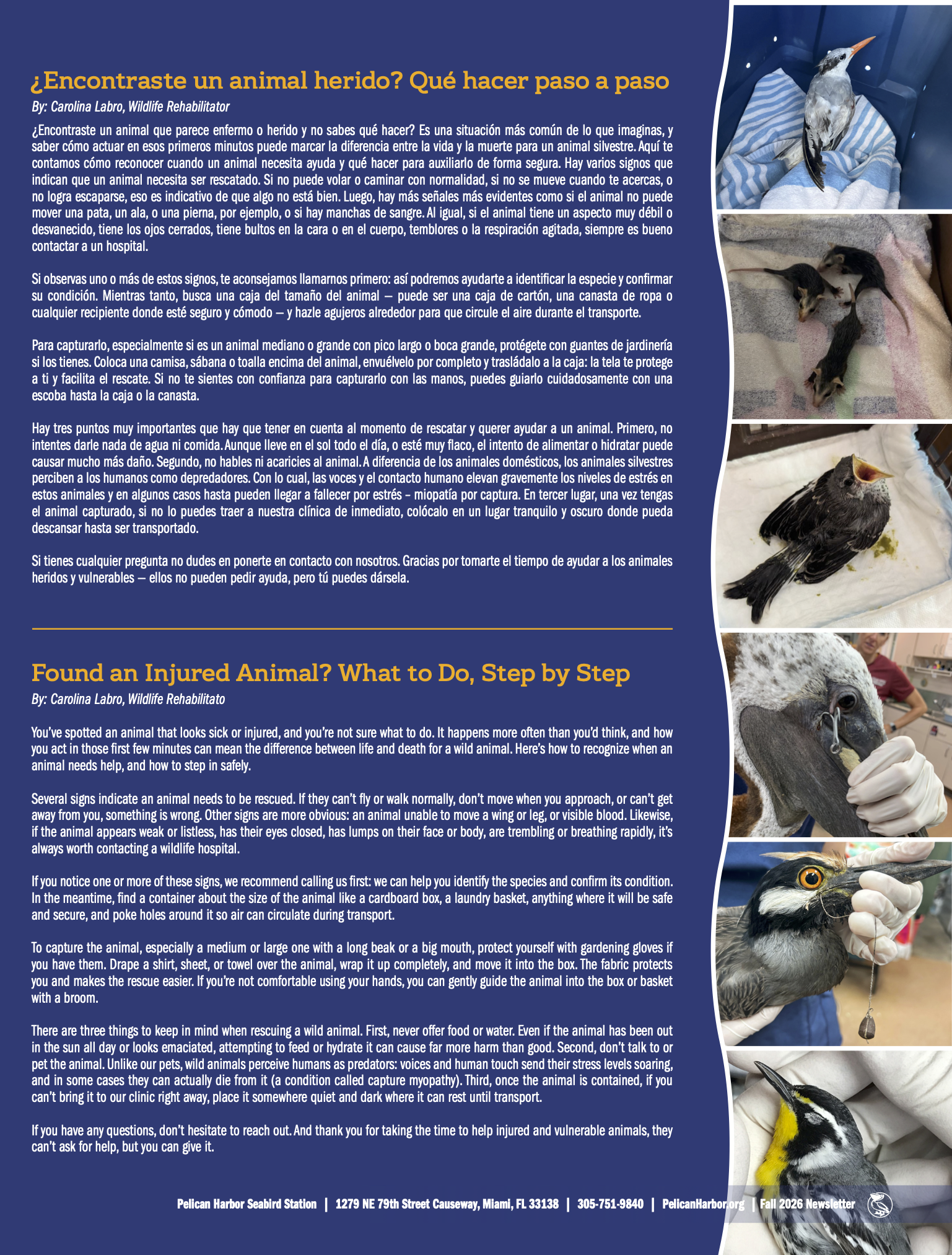 Q3 2026 Newsletter_P3.png
