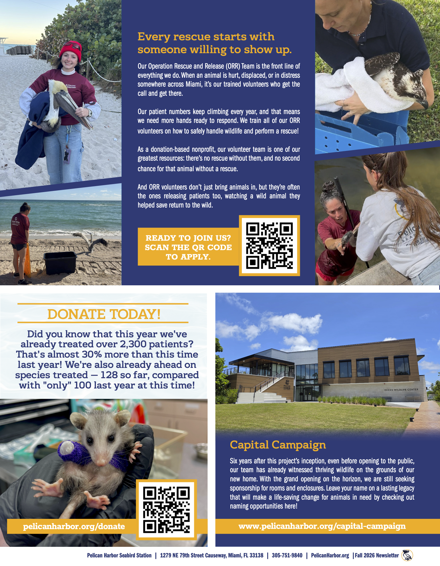 Q3 2026 Newsletter_P4.png
