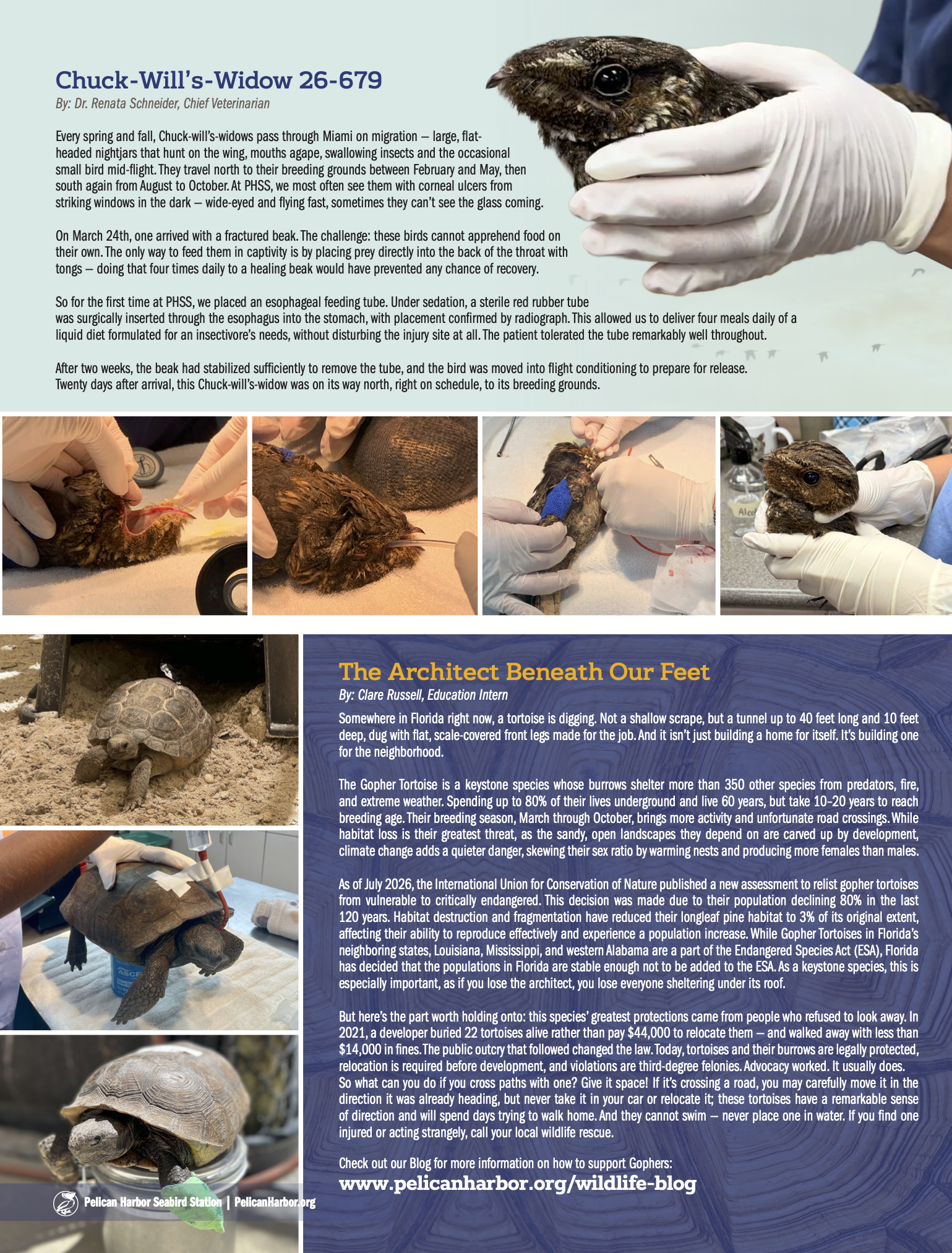 Q3 2026 Newsletter_P2.png