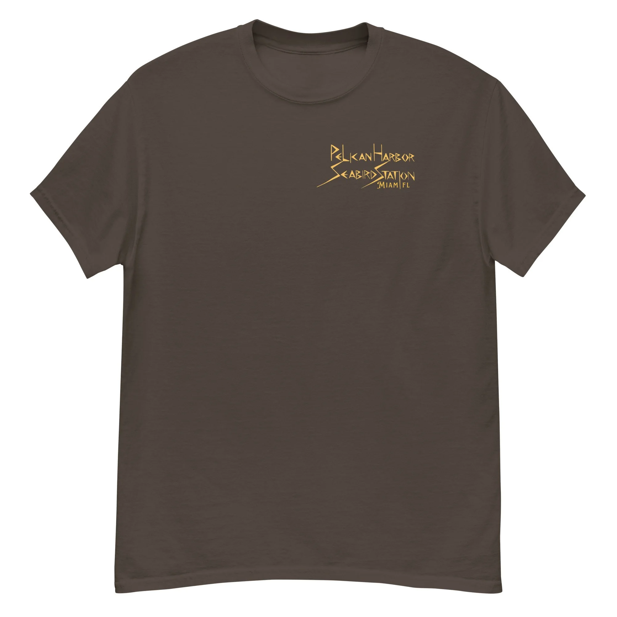 unisex-classic-tee-dark-chocolate-front-675dbc2d4590d.jpg