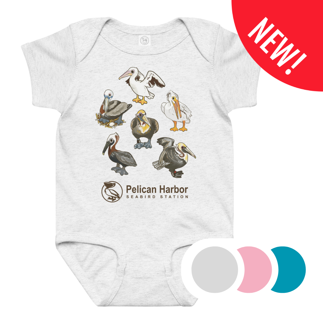 Onesie Pelican.png
