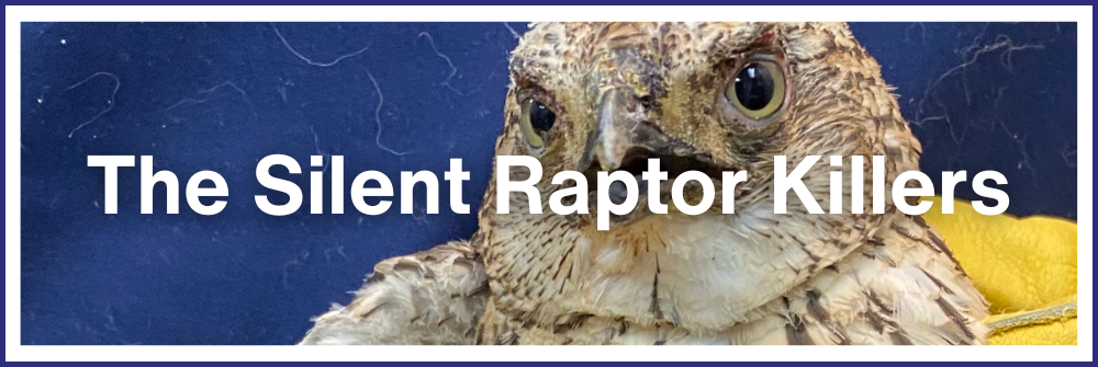 The Silent Raptor Killers