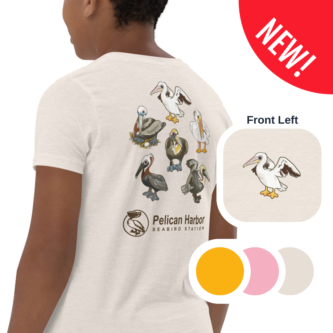 Youth Pelican.png