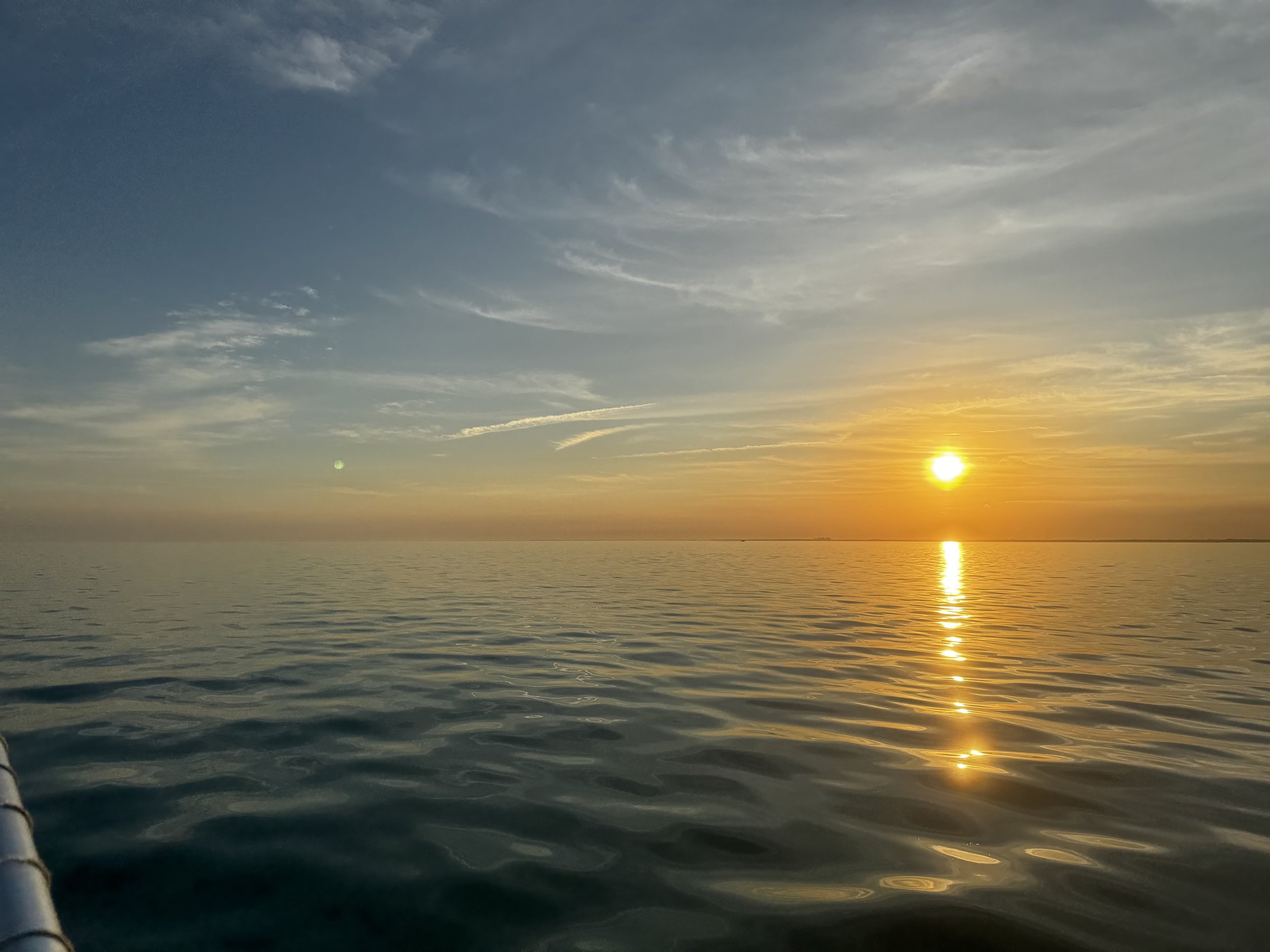 May 28th Seabirds on the Bay: Sunset Cruise