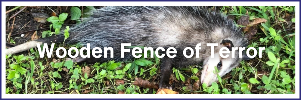 Wooden Fence of Terror