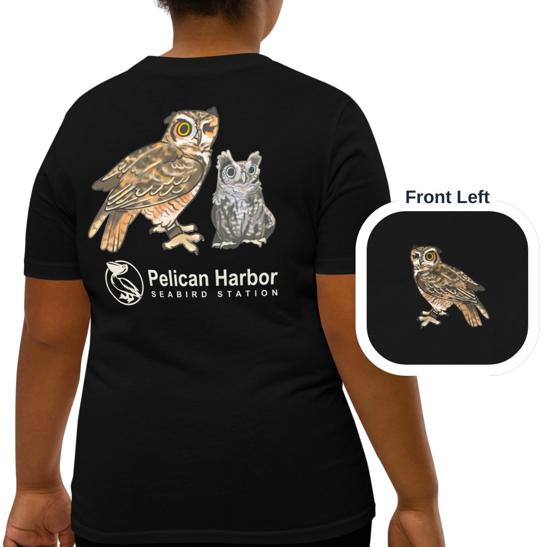 Youth Owl.png