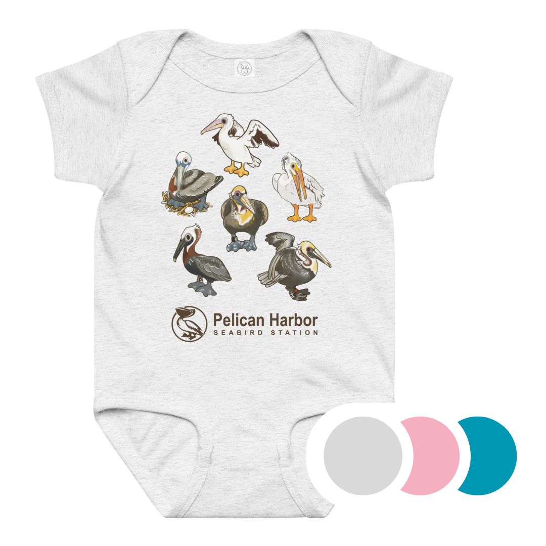 Onesie Pelican.png