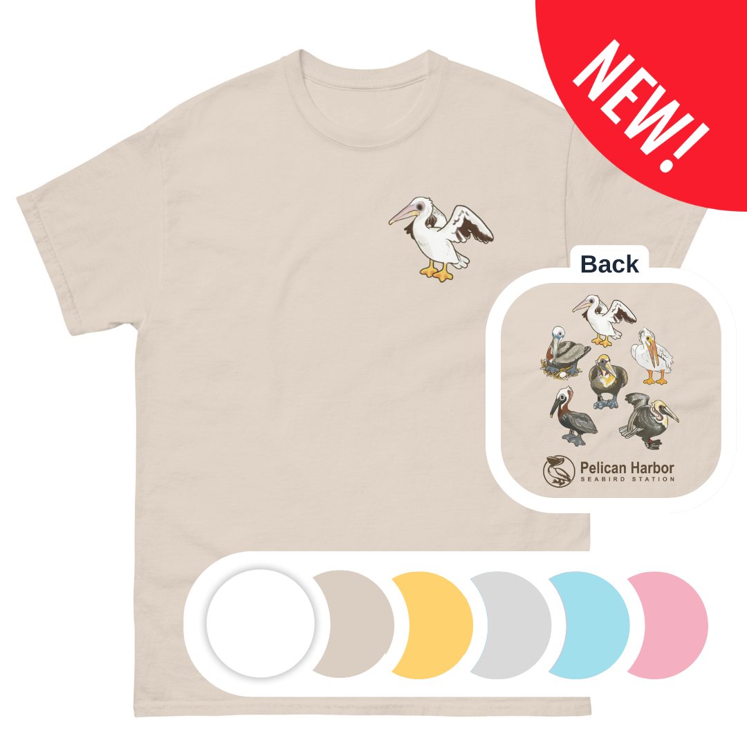 Pelicans! Adult Tee