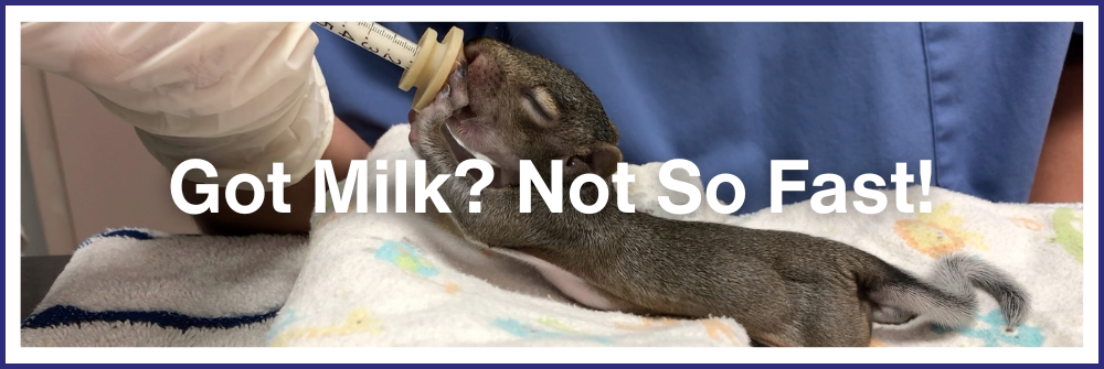 Got Milk? Not So Fast!