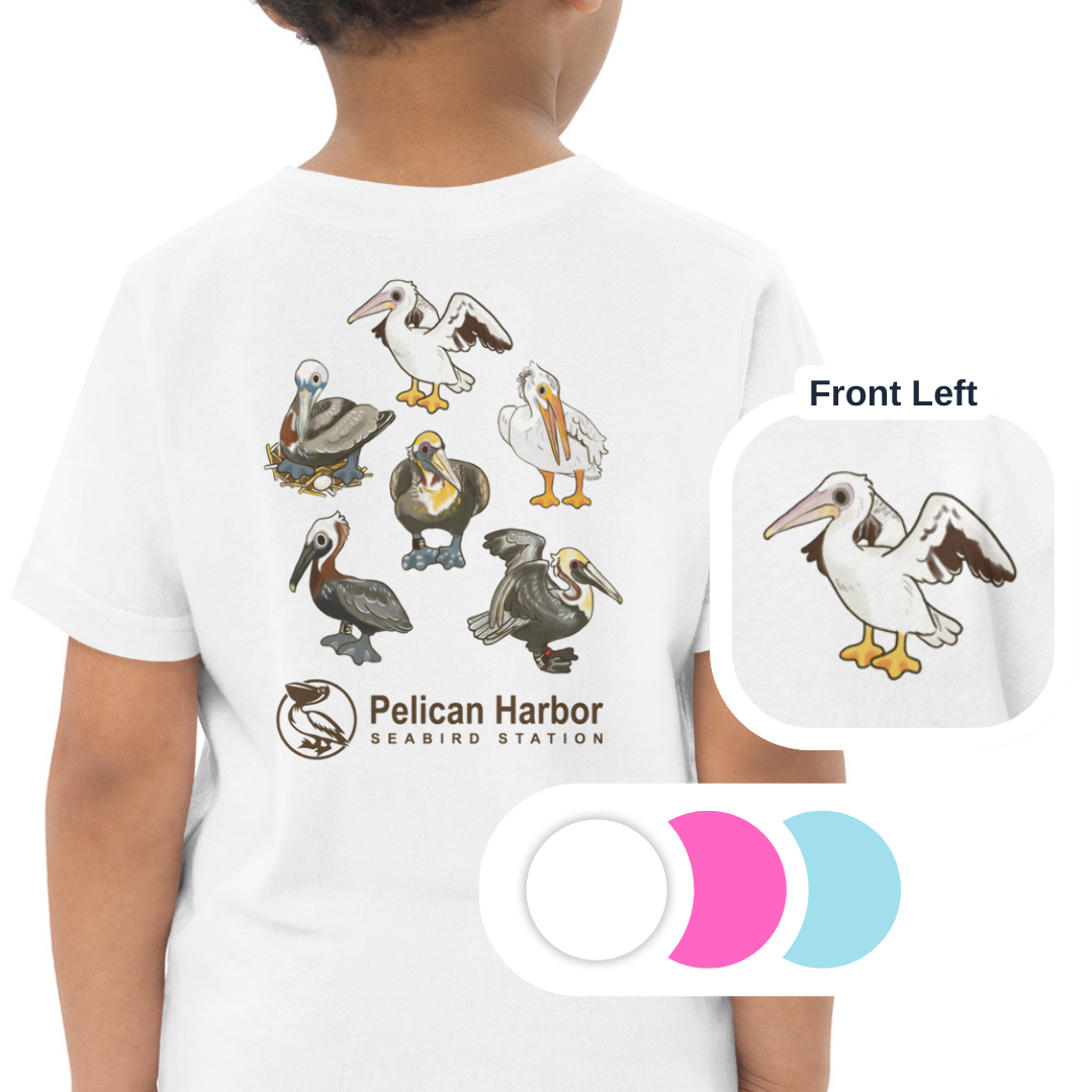 Toddler Pelican.png