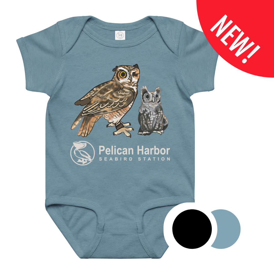 Onesie Owl.png