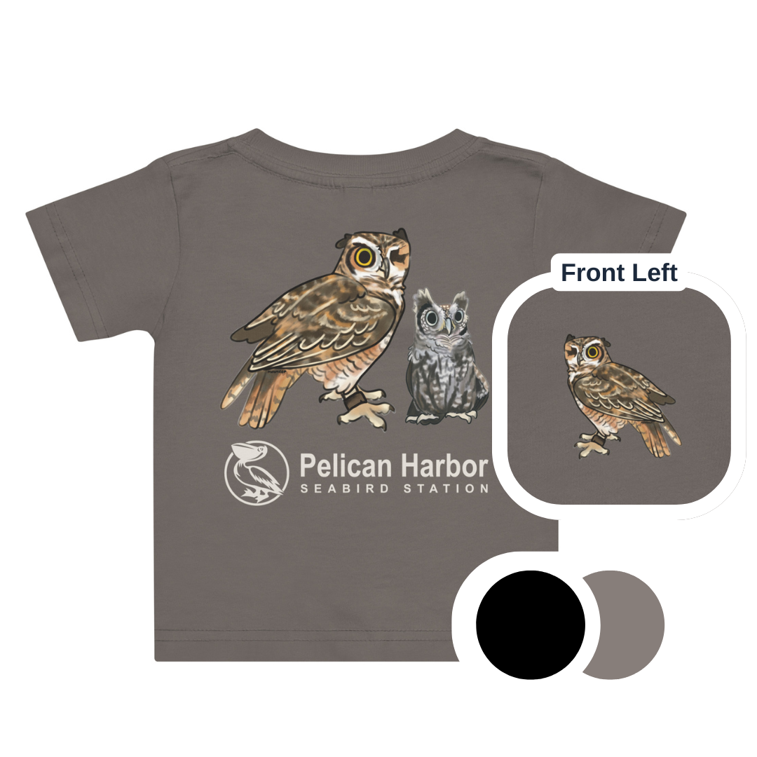 Baby Owl.png