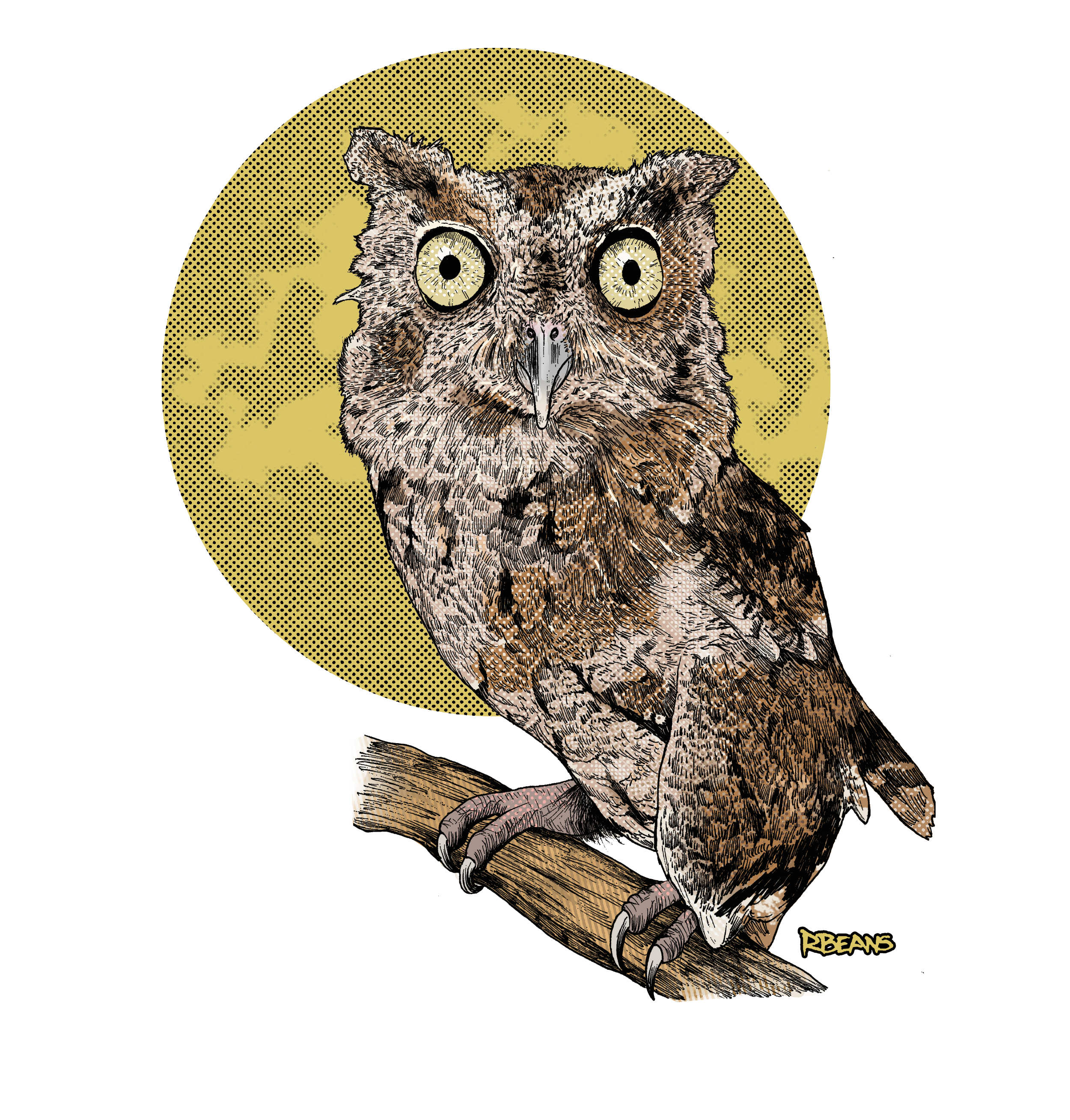 screechowl2 cleanup.png