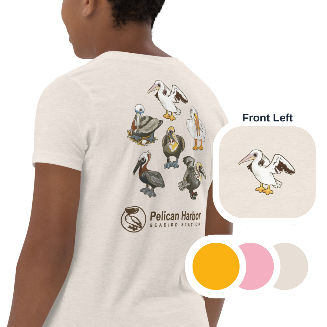 Youth Pelican.png