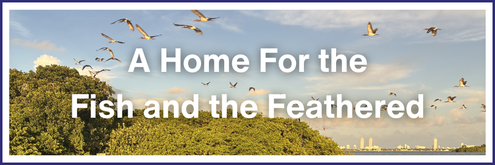 A Home For the Fish and the Feathered