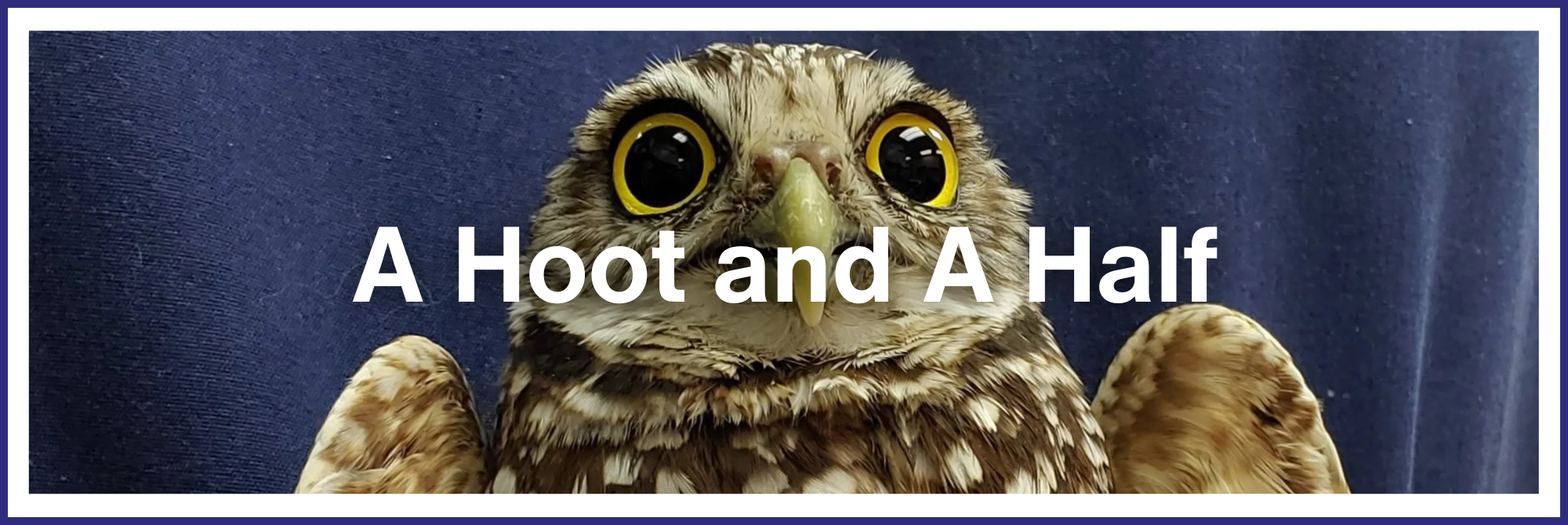 A Hoot and a Half
