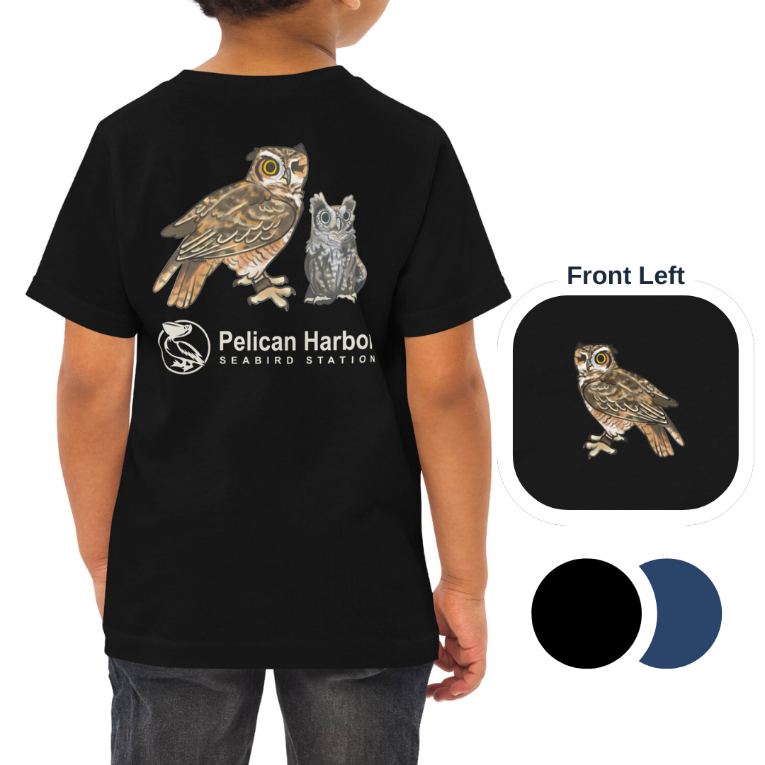 Toddler Owl.png