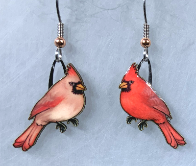 Northern-Cardinal.png