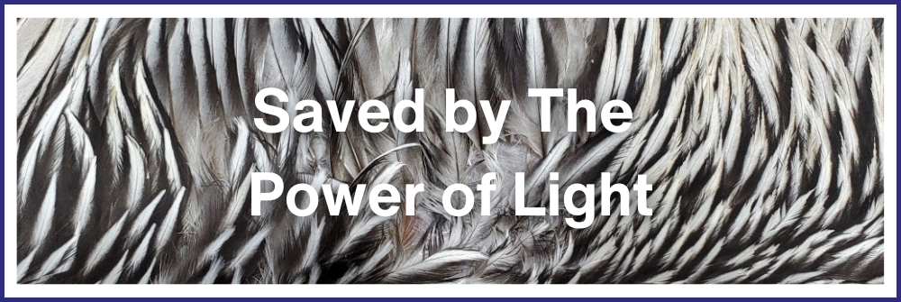 Saved by the Power of Light