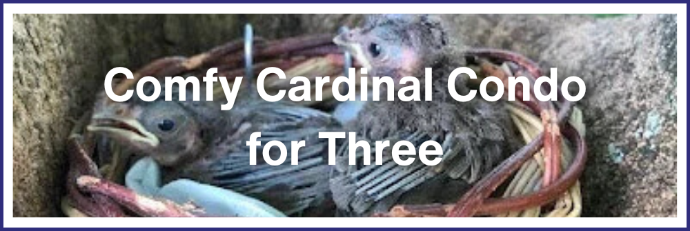 Comfy Cardinal Condo for Three