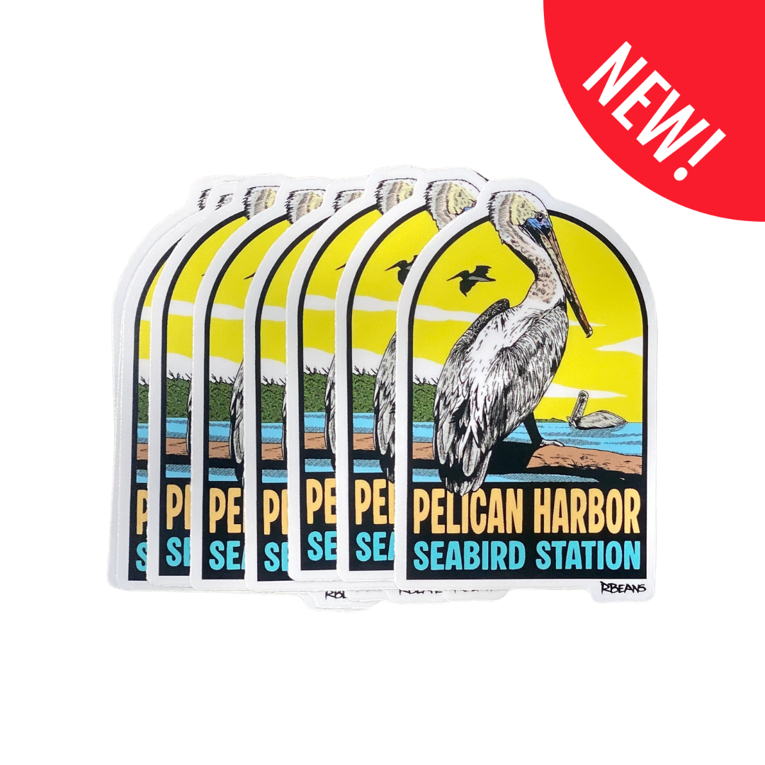 Untitled design (5).png