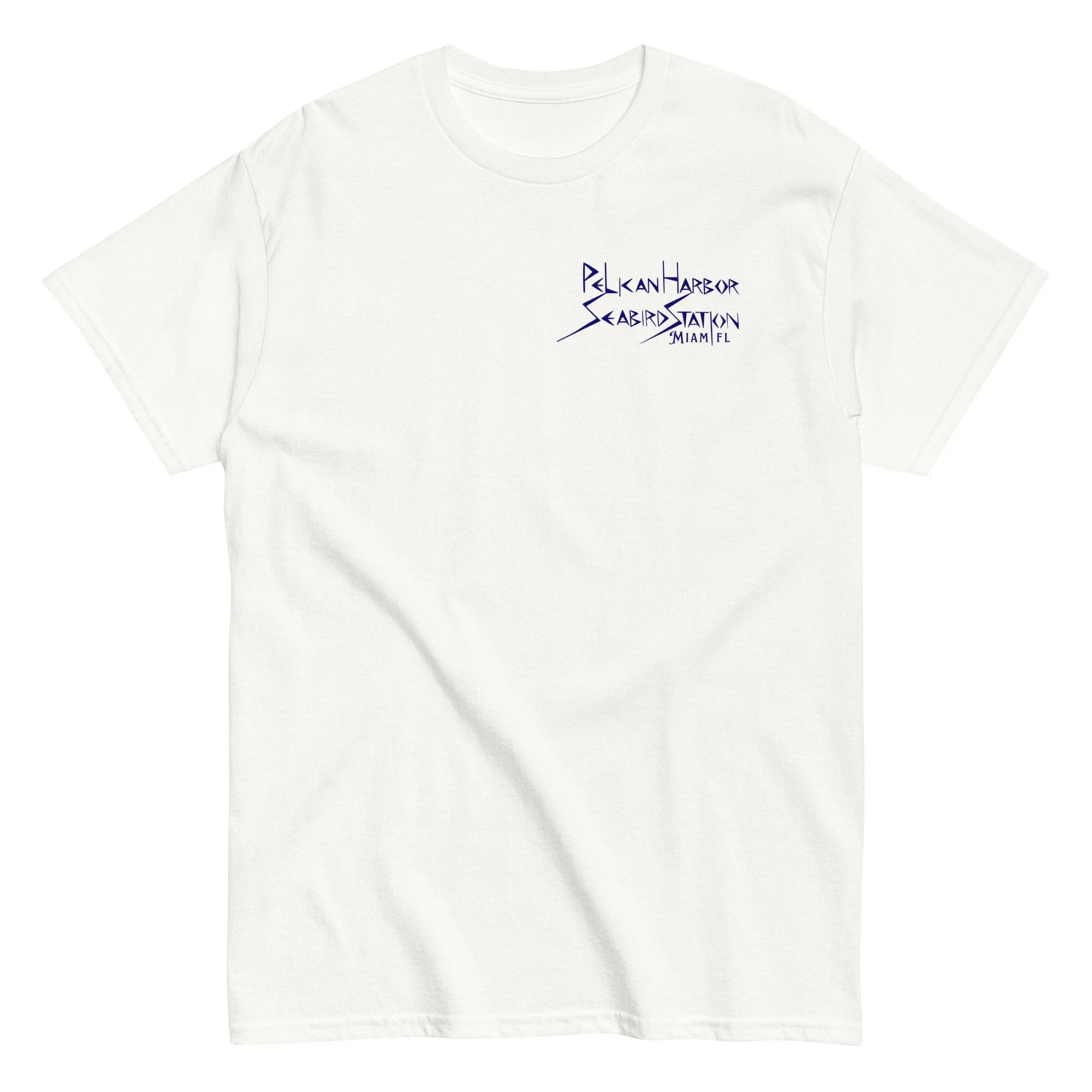 unisex-classic-tee-white-front-675dbaa2313a2.jpg