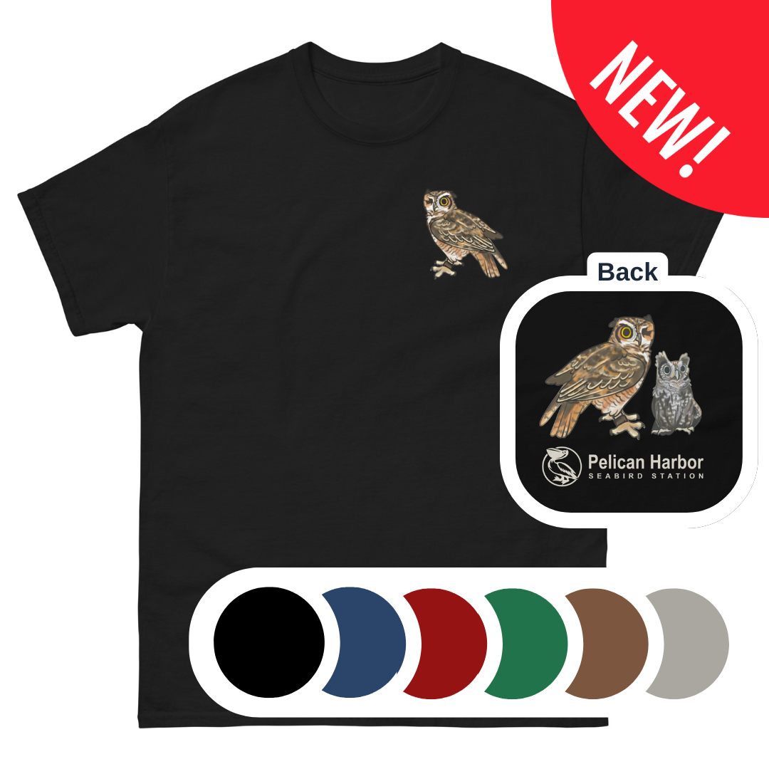 Owls! Adult Tee