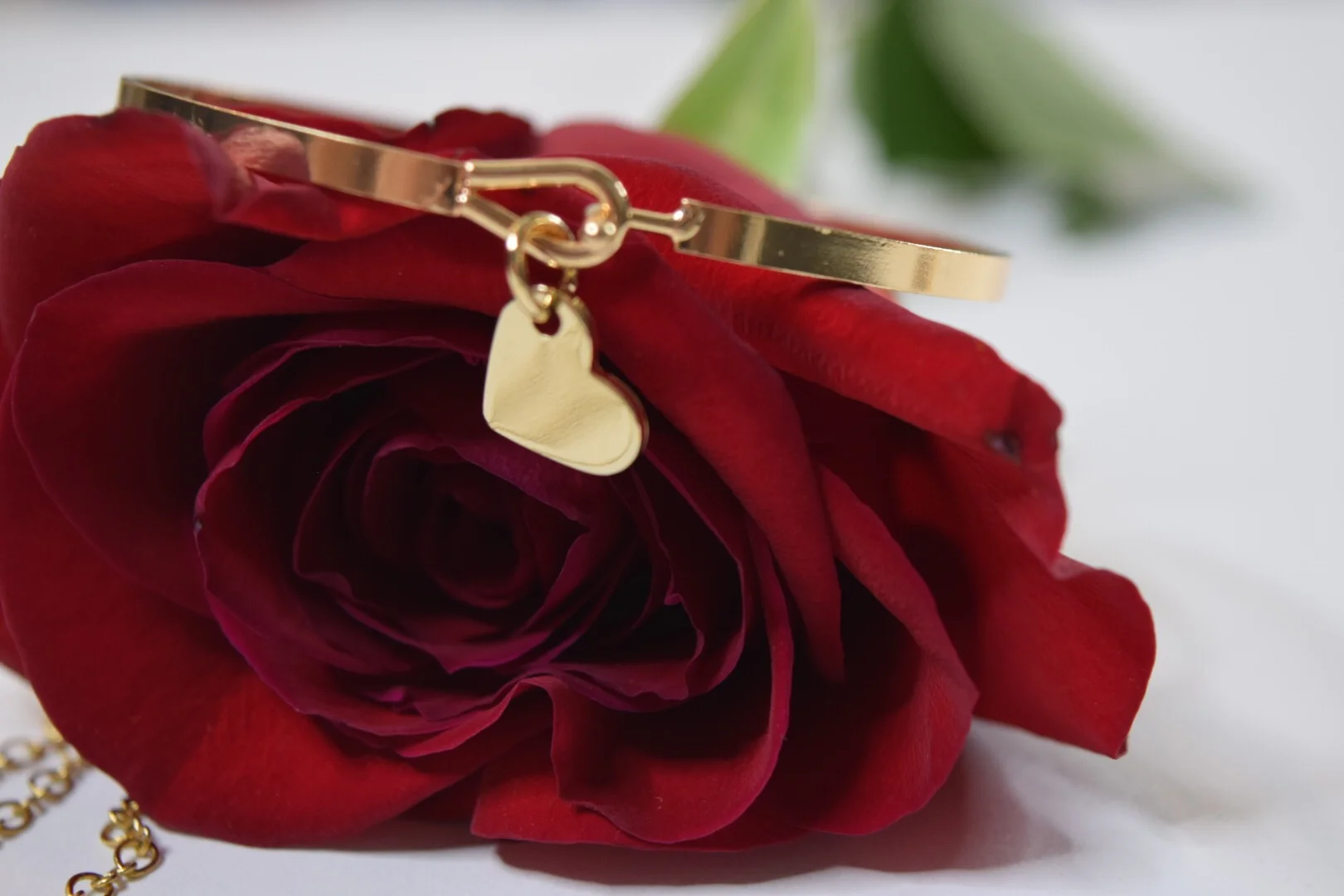 Photo courtesy of Rejected Hearts Club