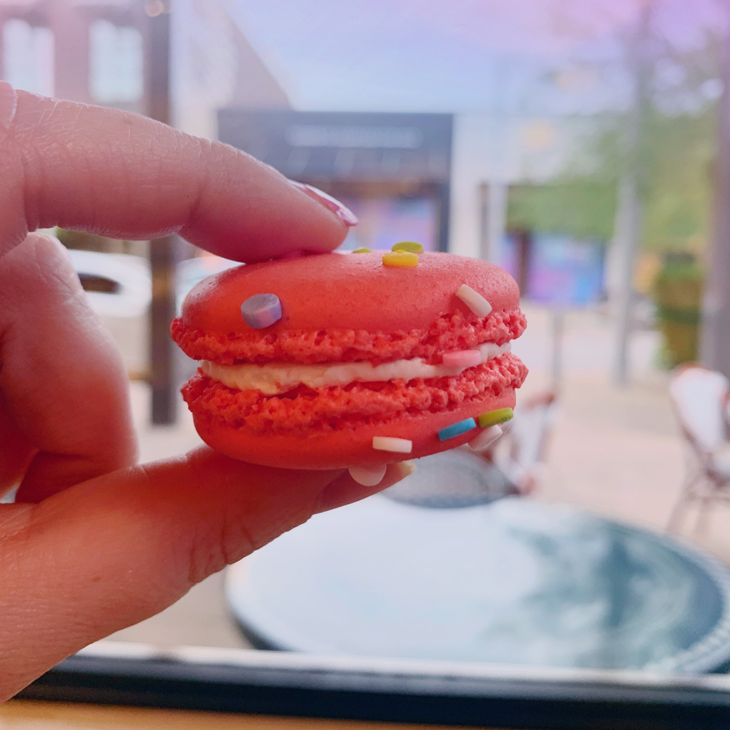 ginger me glam bakery lorraine taste testing1.JPG