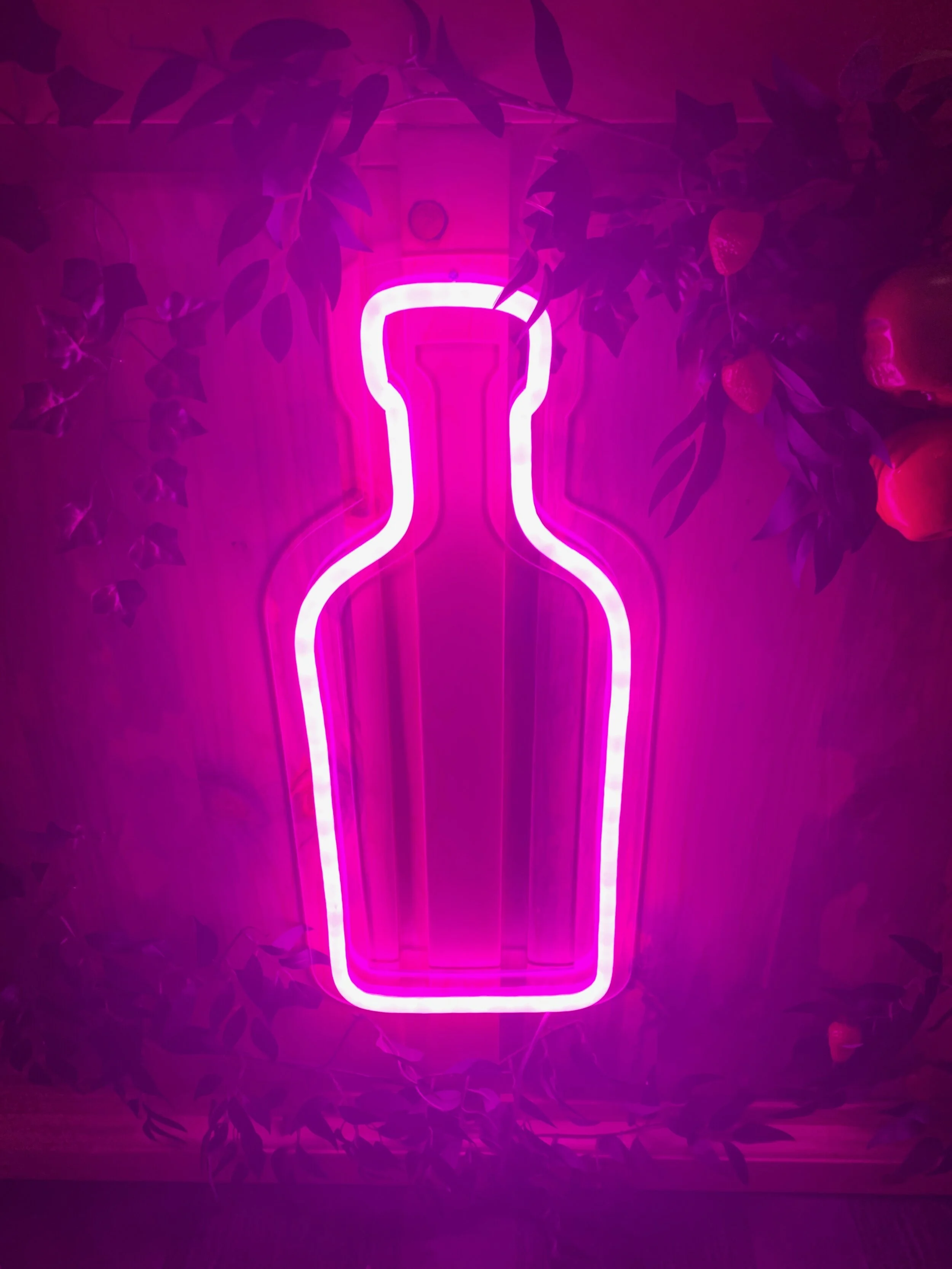 ginger me glam absolut vodka get juicy5.jpeg