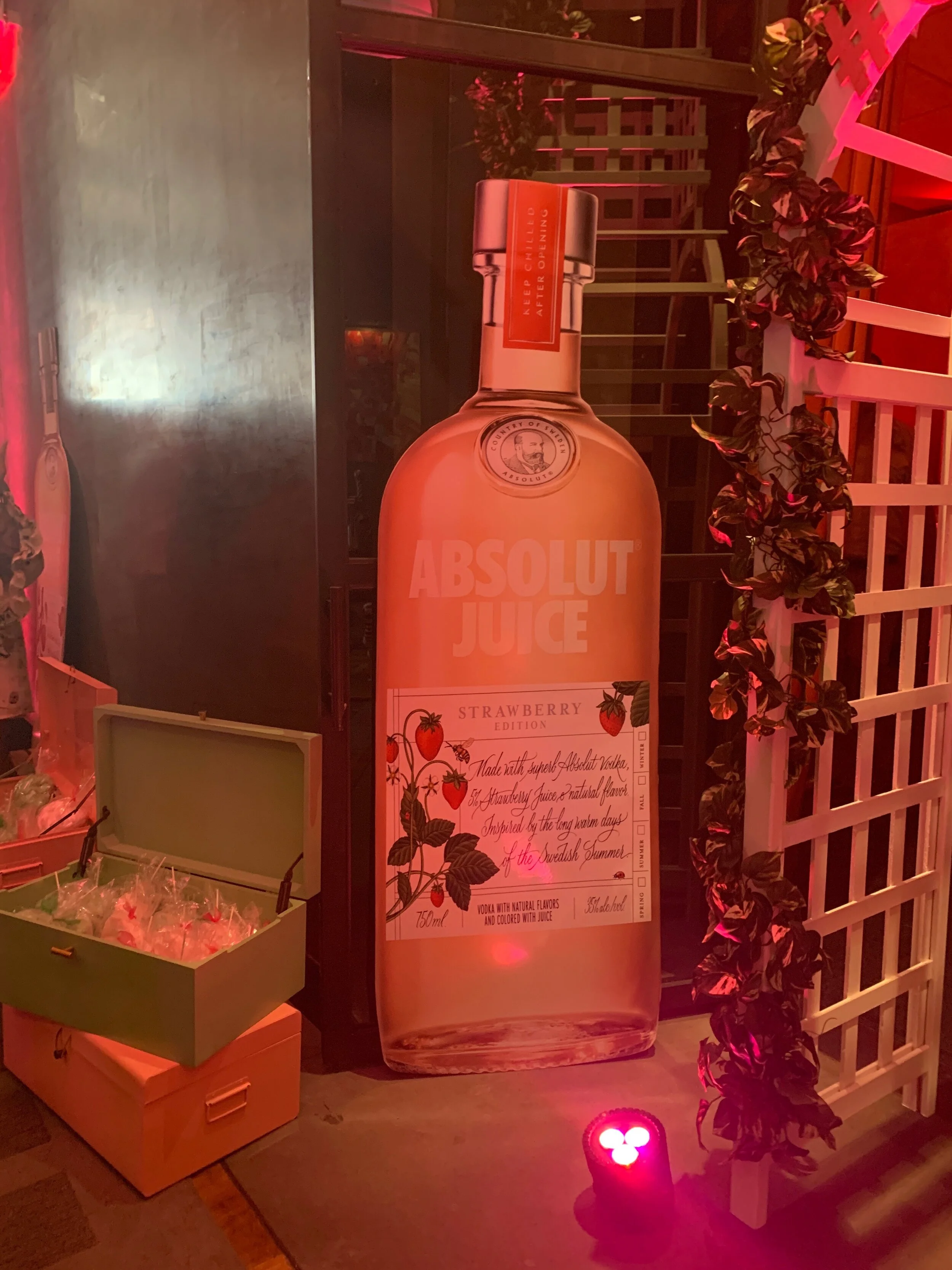 ginger me glam absolut vodka get juicy3.jpeg