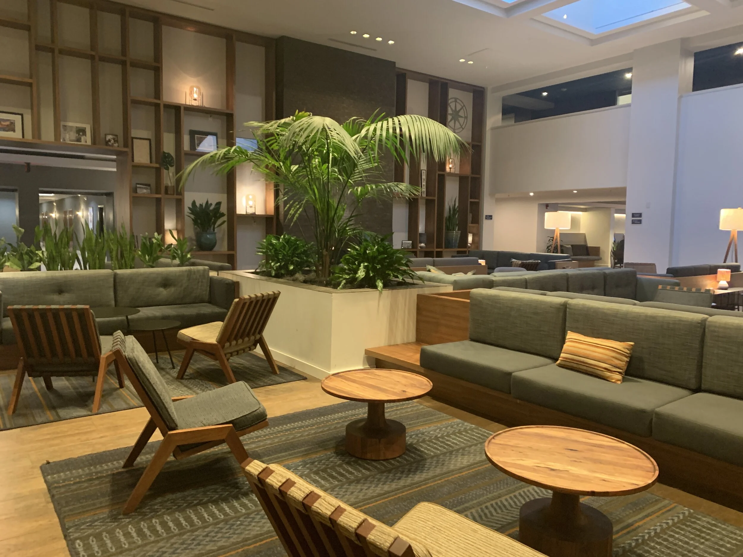 This DoubleTree by Hilton is simply gorgeous with its modern design. I loved the air plants everywhere, and I appreciate the ample seating areas.