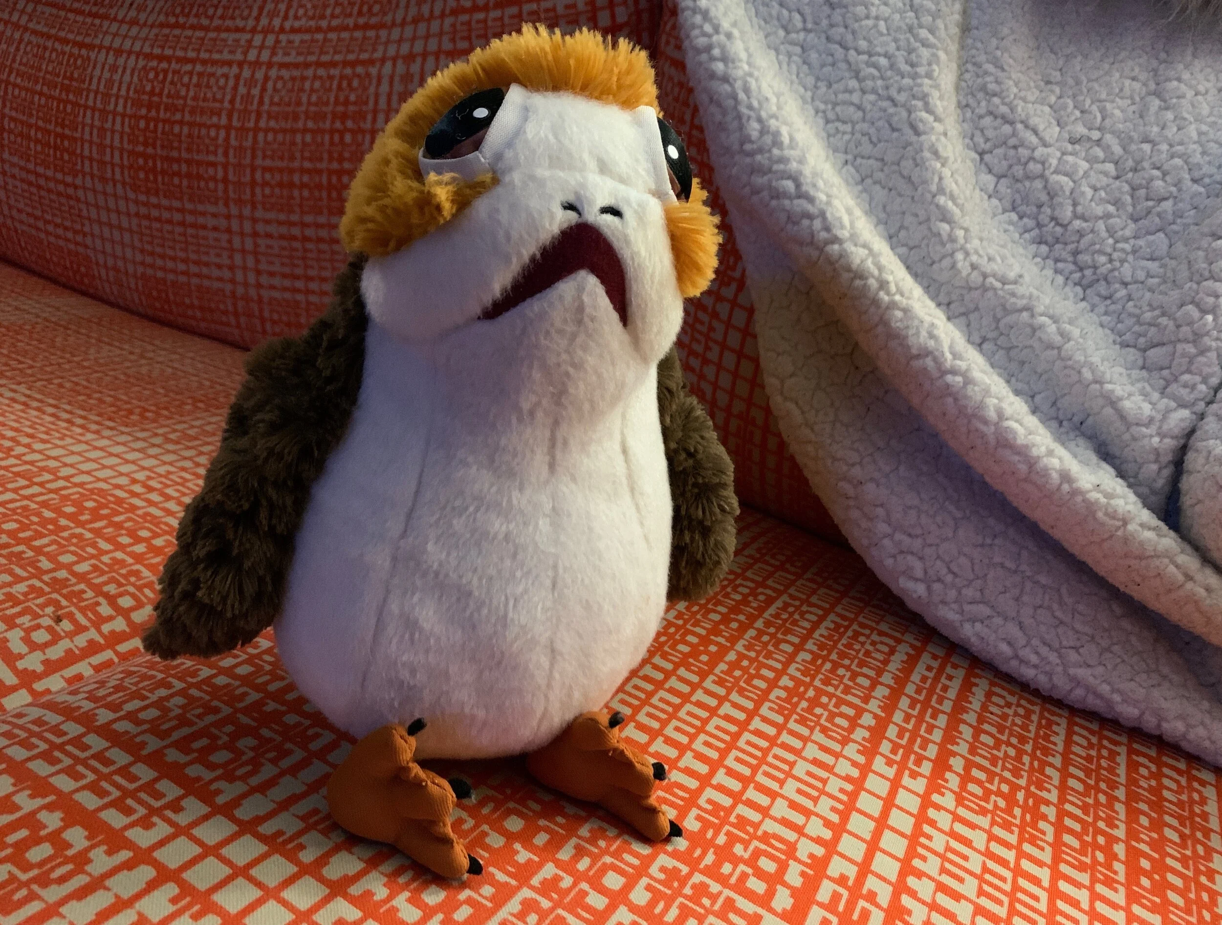 Porg is a lives on our rebel couch.