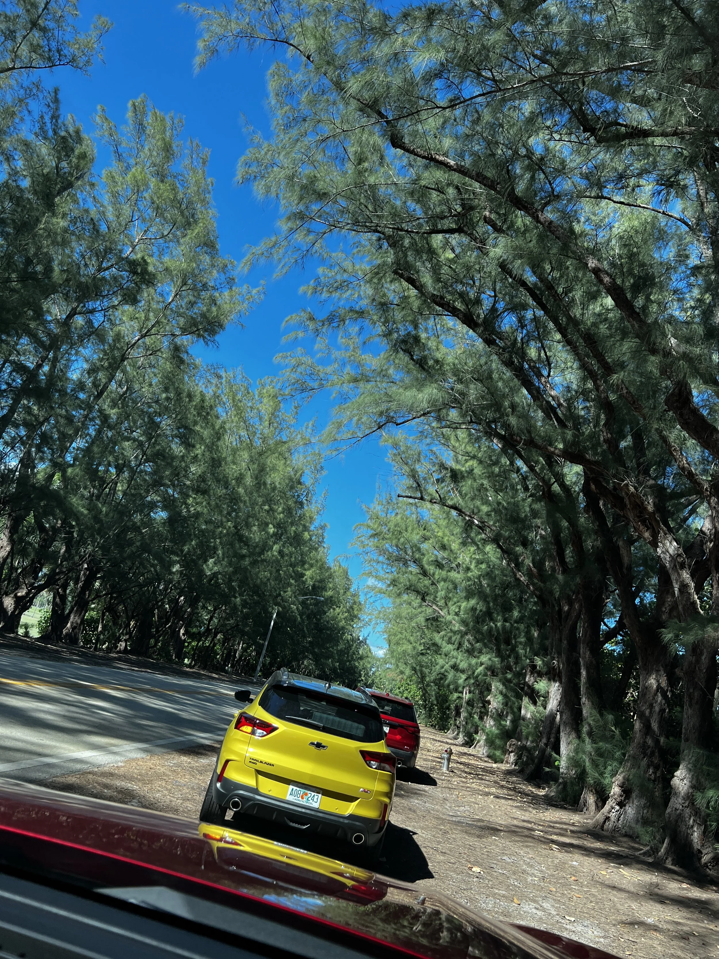 2023 Chevrolet Trailblazer AWD RS rear view