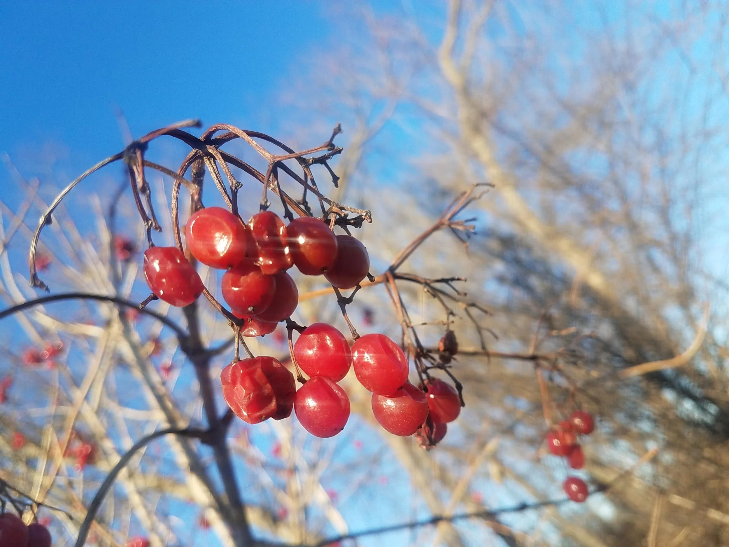 20190105_152458.jpg