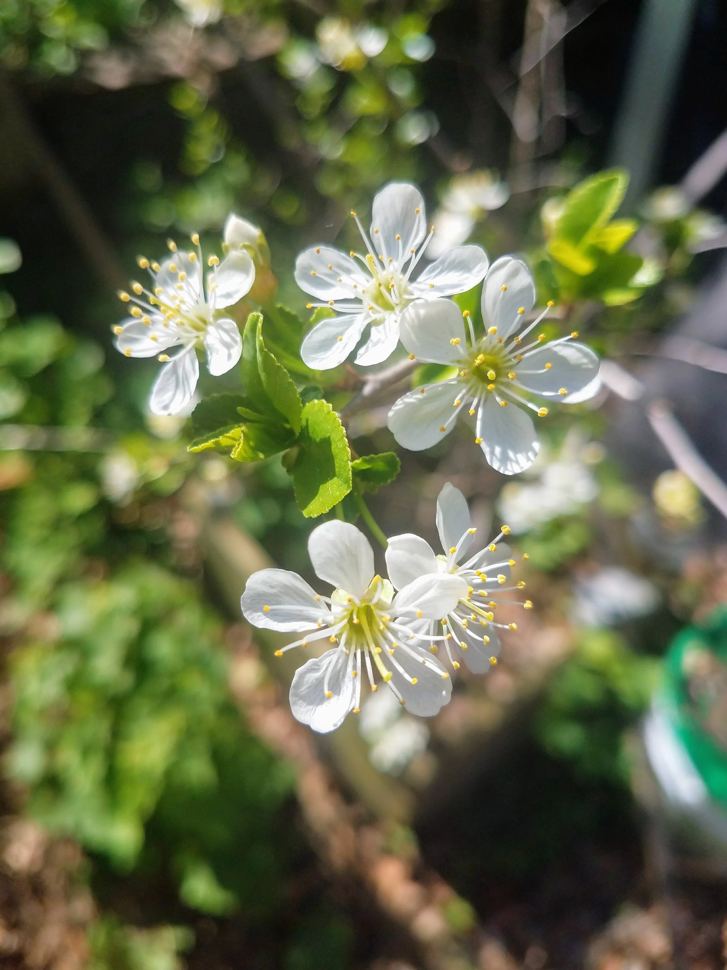 20180509_094423.jpg