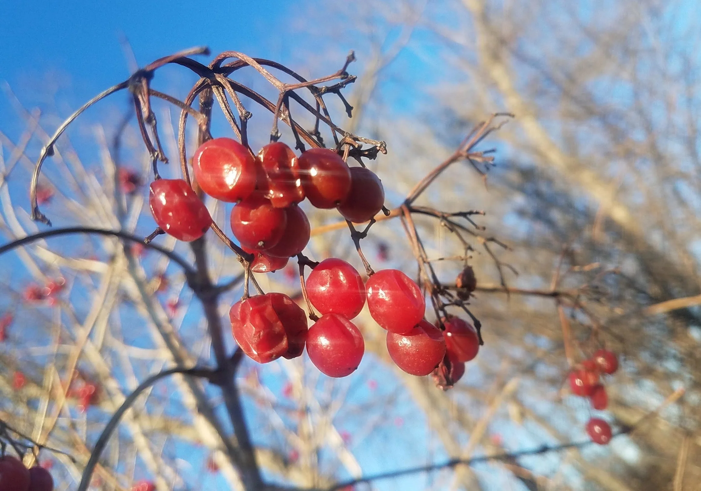 20190105_152458.jpg