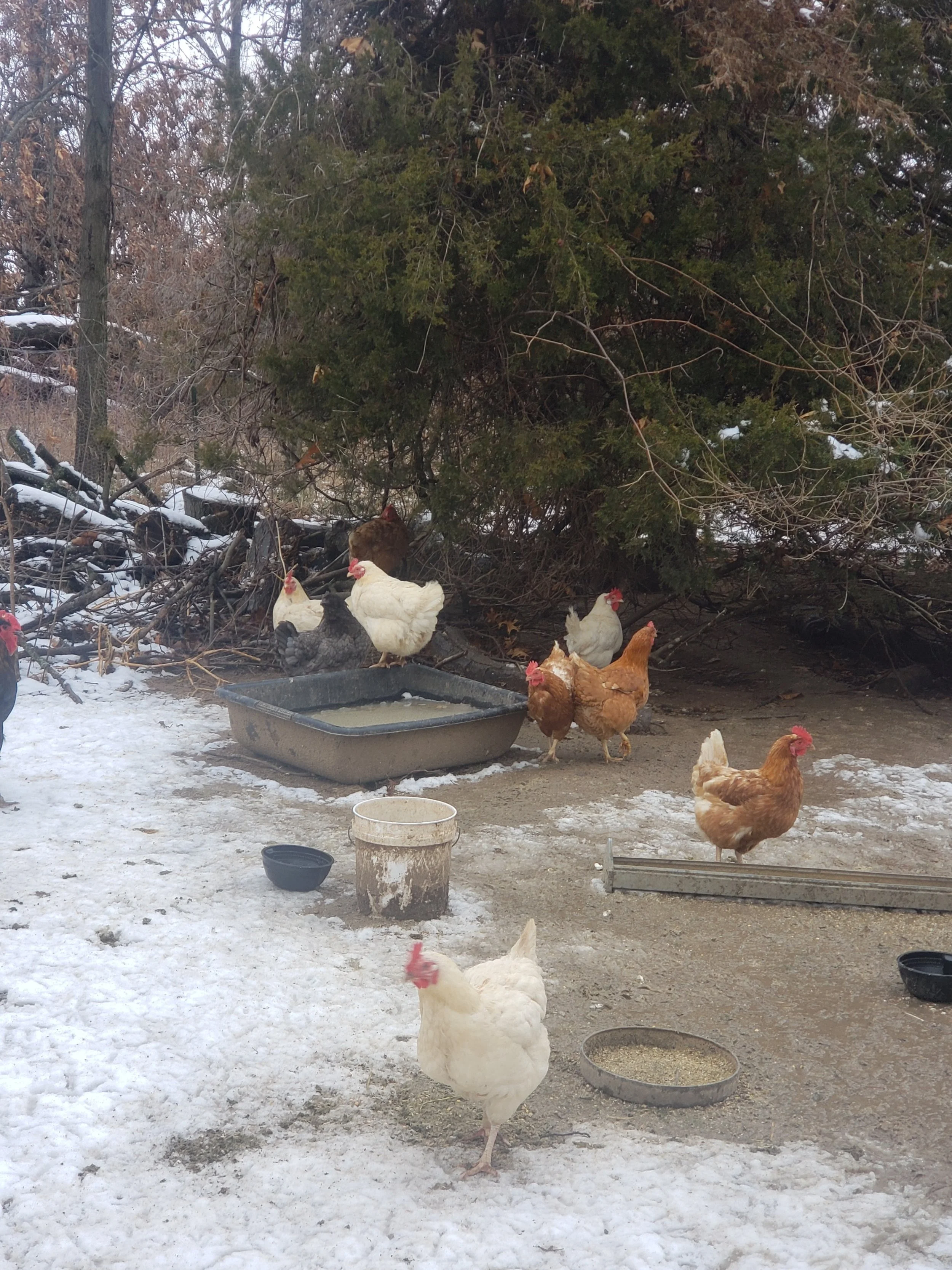 And here are the girls with their variety of water containers and a snow/mud combo 🙄