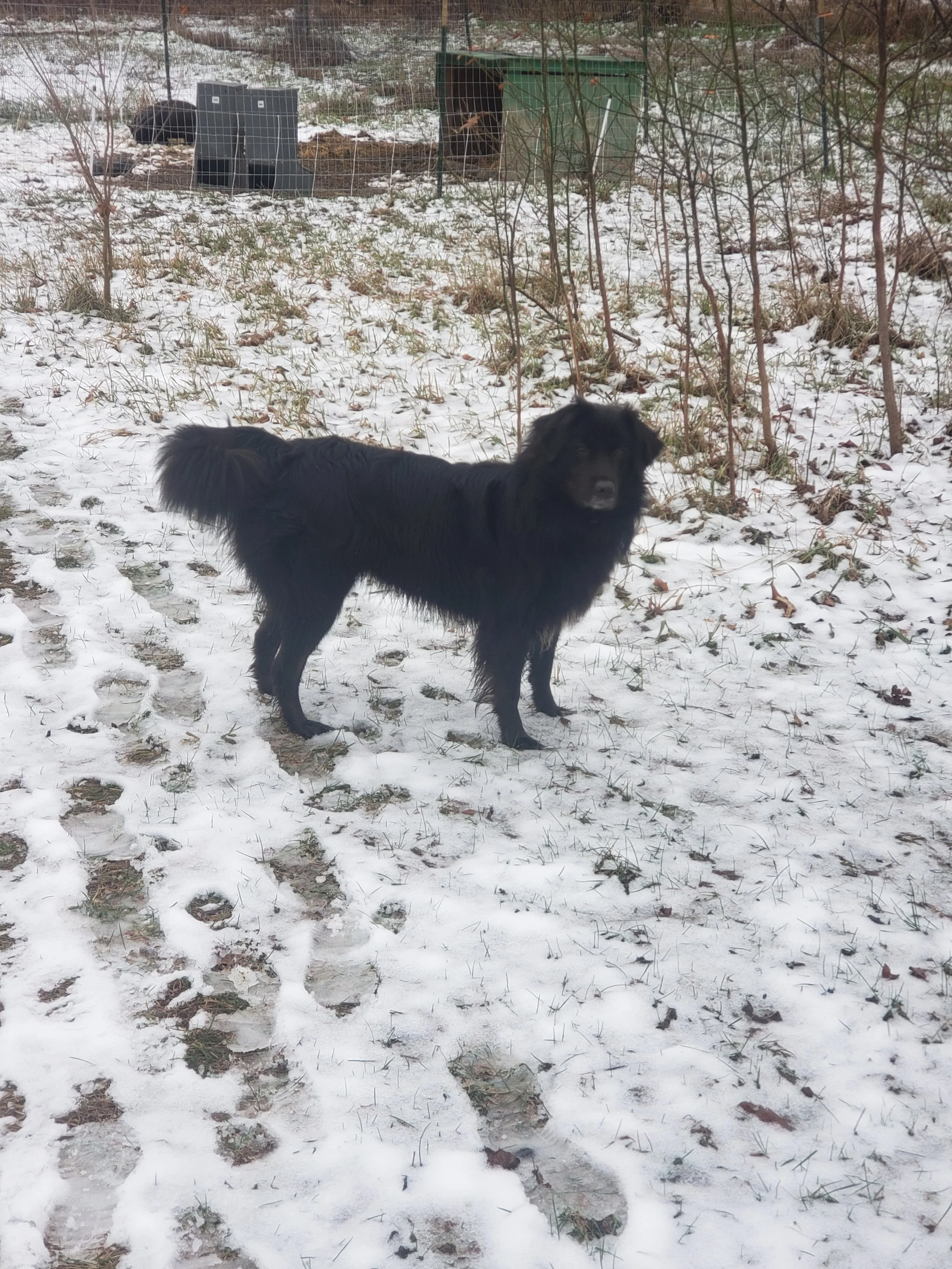 Last but not least, a very rare non blurry picture of Velvet 😂😂😂