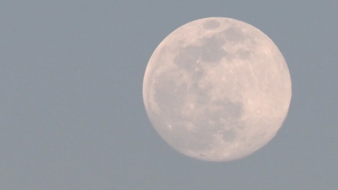 Mindfulness Meditation: On Emotions and Feelings