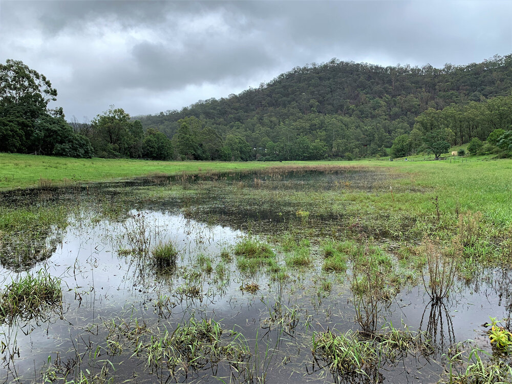 Flood-big-paddock-puddle-1.jpg