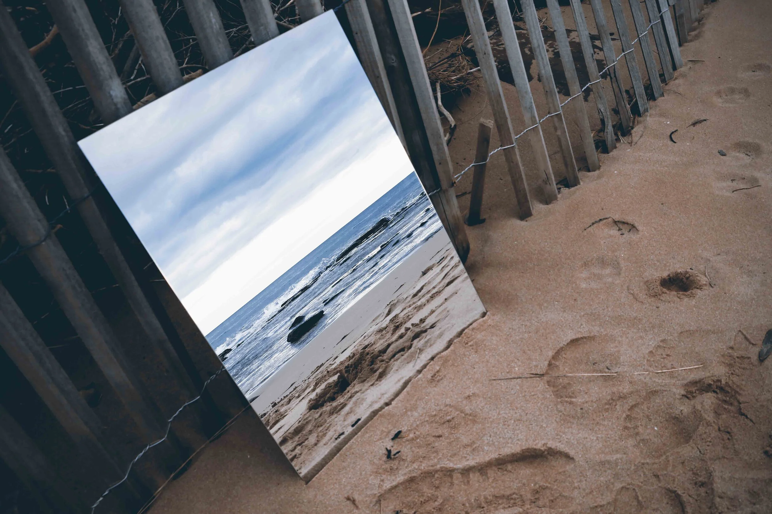 Mirrored Ocean 2019.jpg