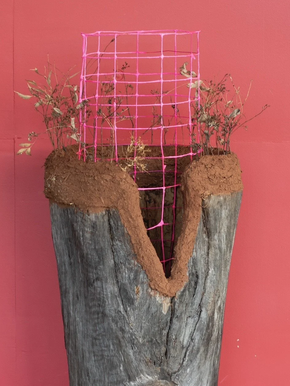 Hollow Homes #3 Tree Guard
