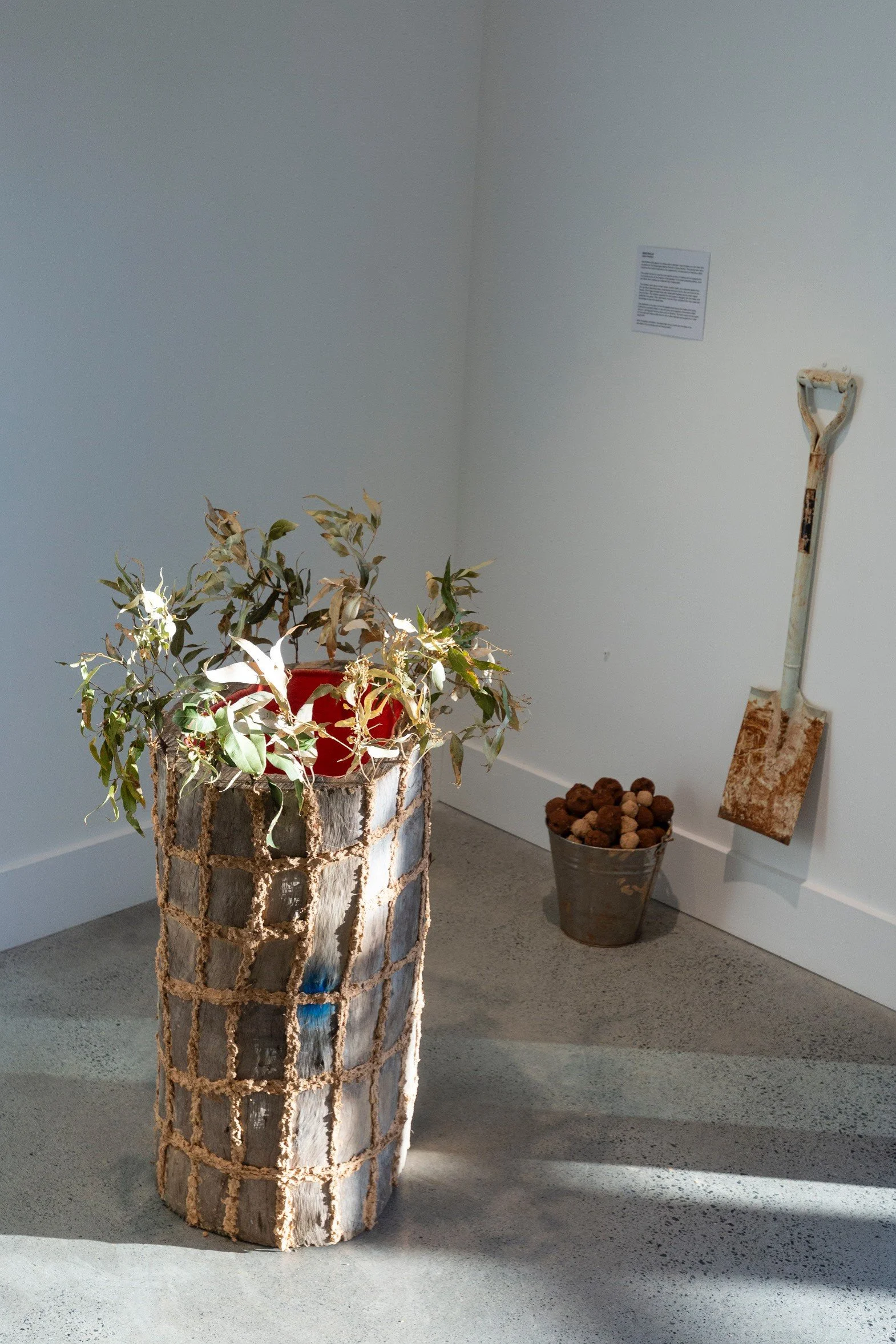 Hollow Homes, Seed Balls project