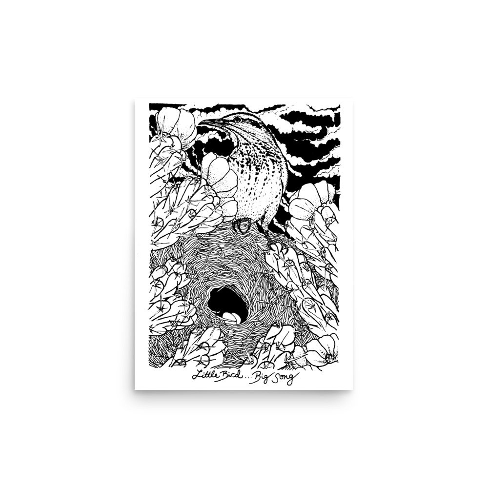 enhanced-matte-paper-poster-(in)-12x16-front-649b577810319.jpg