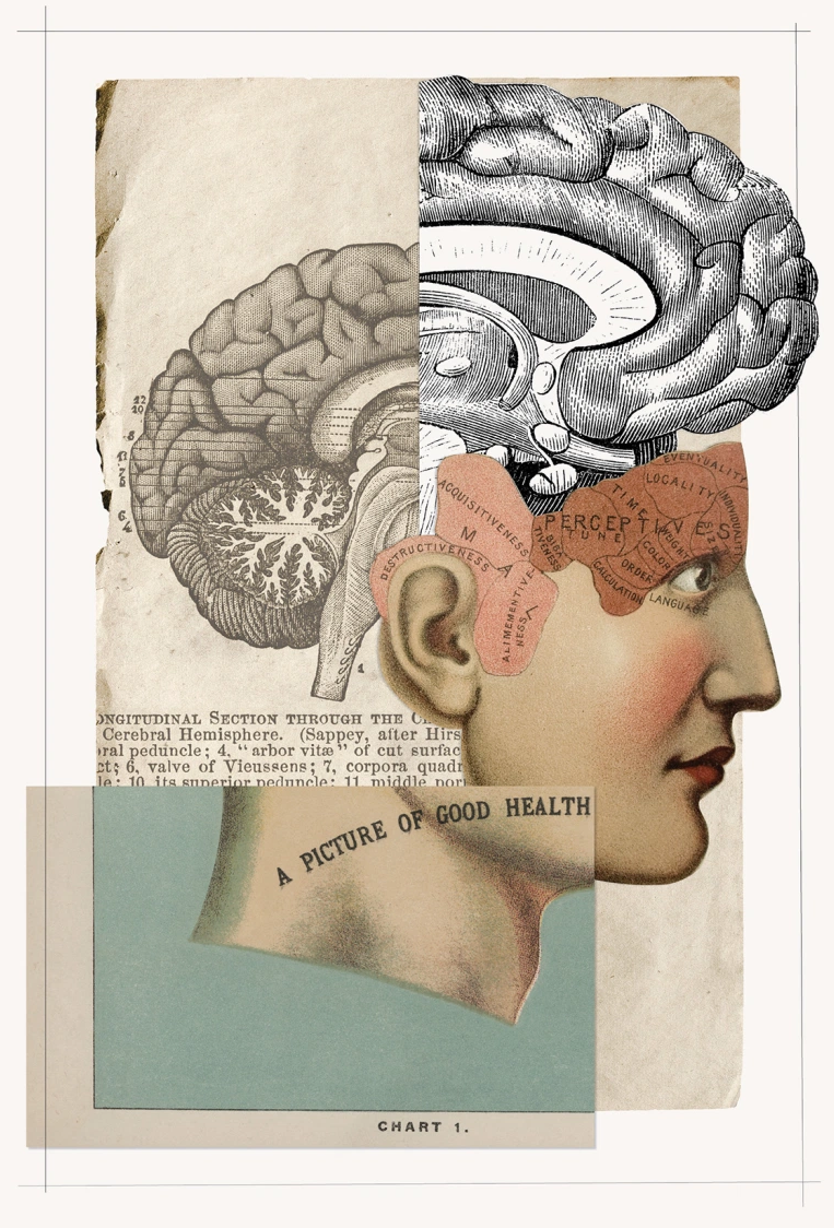 the miracle molecule that could treat brain injuries and boost your fading memory aspen brain institute