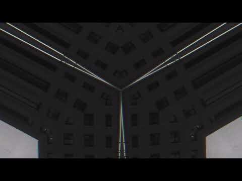 I saw the future and we did not exist (Copy)