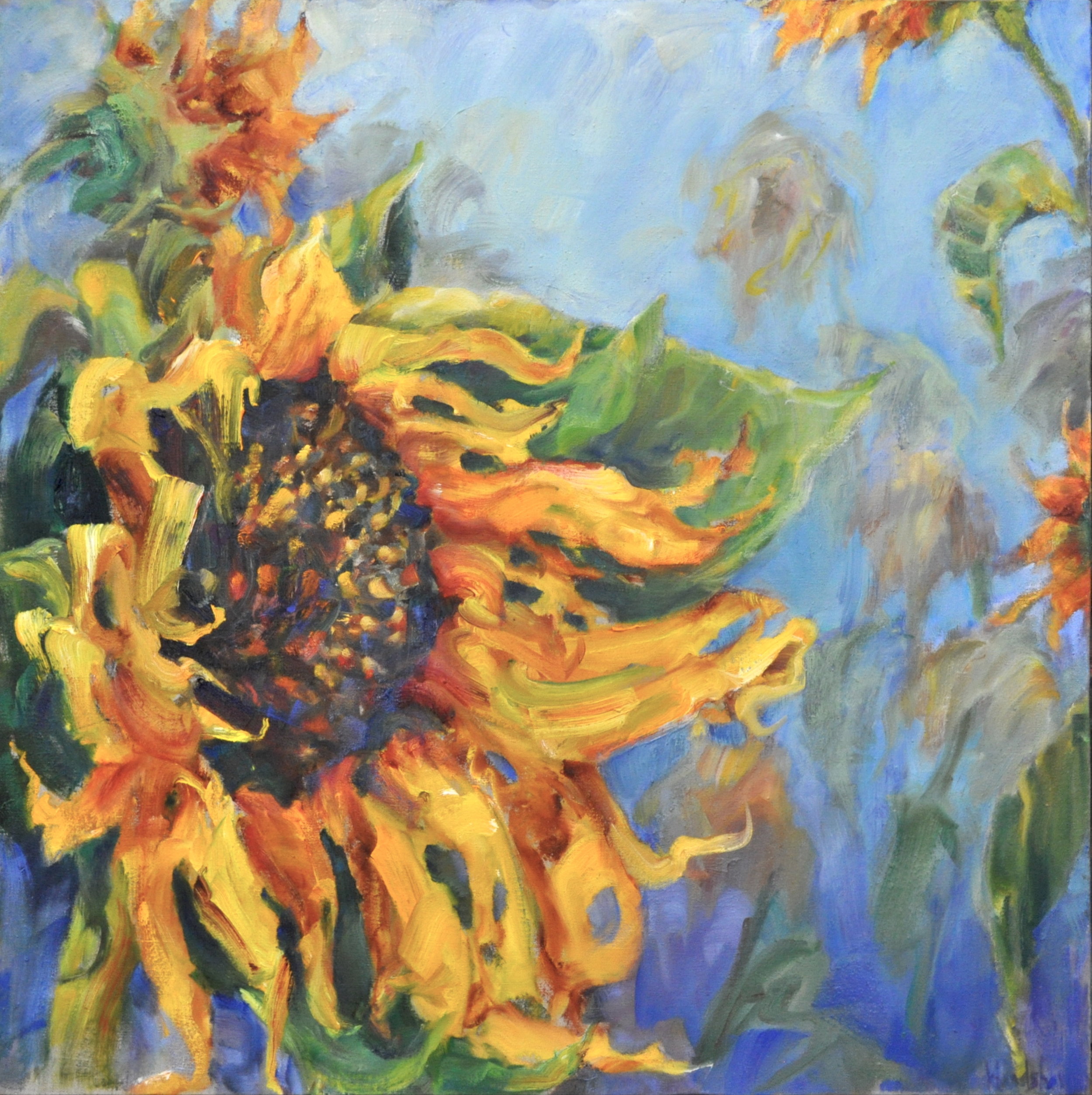 "Sunflower Patch"