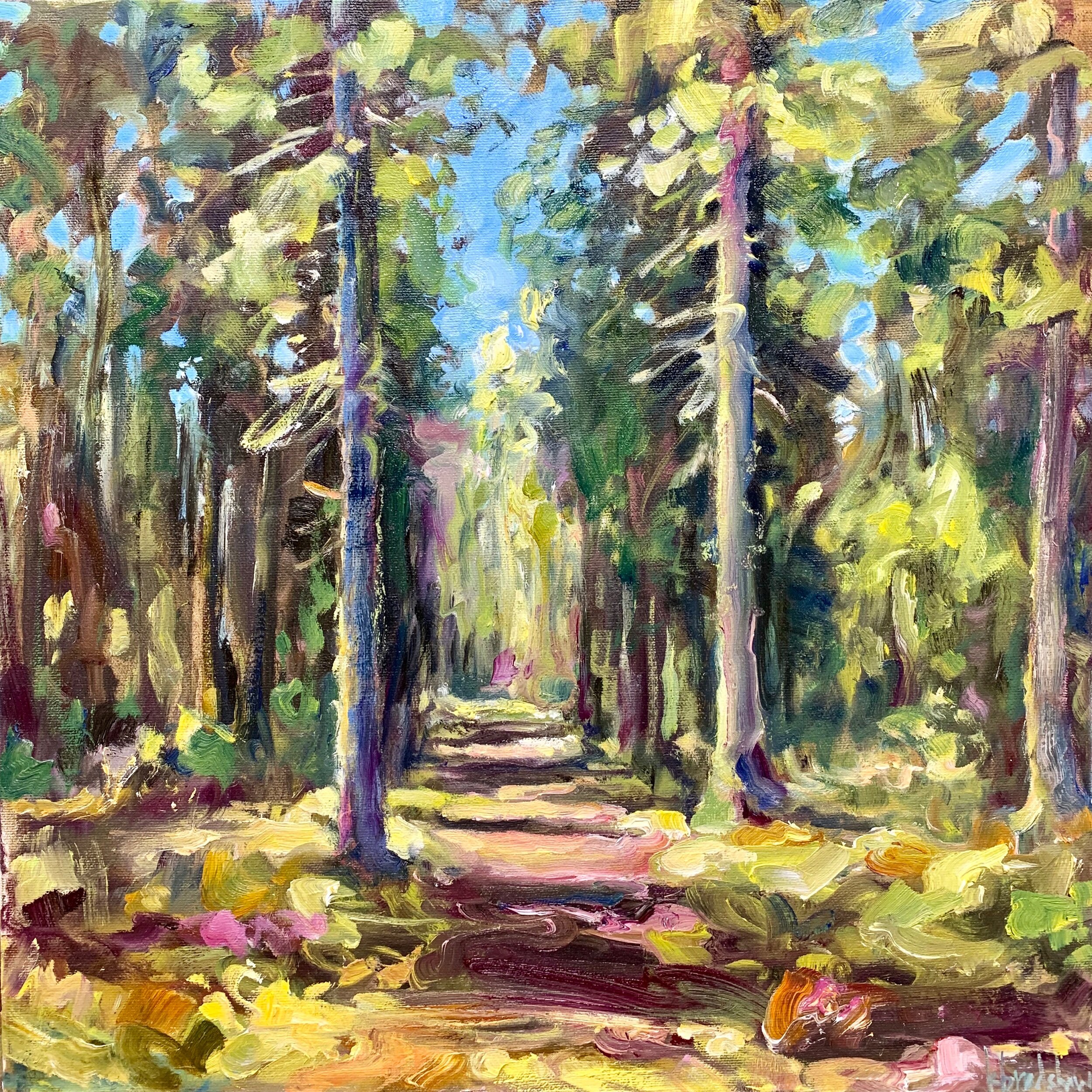 “Light Play on Fisher Trail”